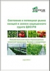 В ЦФО РФ самый большой дефицит тепличных овощей и зелени