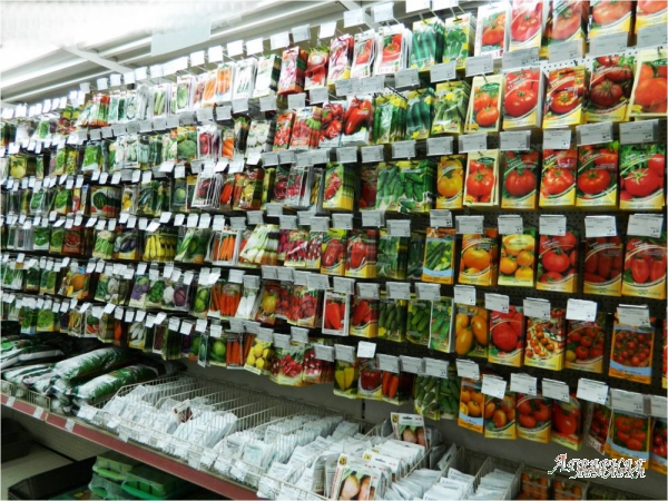 Семена овощей по доступным ценам в Украине
