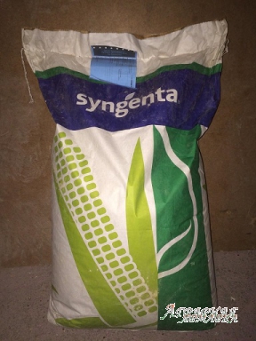 Продам семена гибридов подсолнечника и кукурузы,  фирмы Syngenta