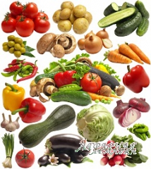 Насіння овочів за доступними цінами