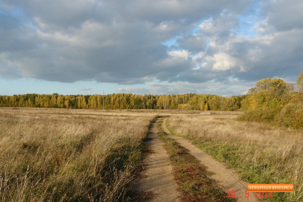 Продается 90ГА земли сельхозназначения с мини-фермой и жилым домом в 250 км от Москвы