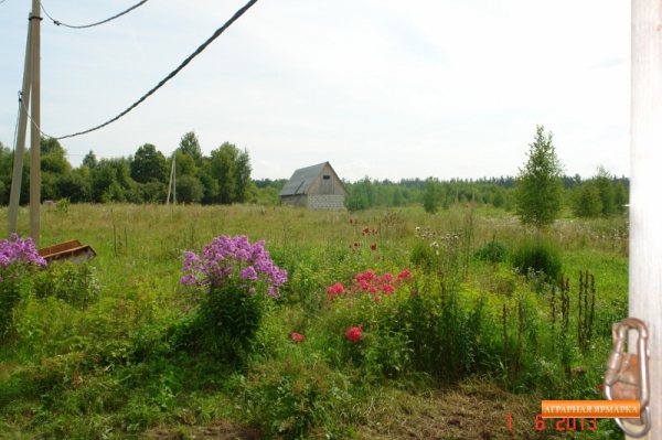 Сдам или продам 20ГА земли сельхозназначения (КФХ)  в 250 км от Москвы