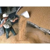 экспорт пшеница протеин 10, 5%