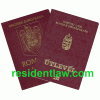 Полугодовая виза шенген 150 евро с гарантией