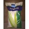 Насіння соняшника і кукурудзи,  фірми Syngenta