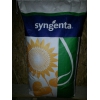 Продаю семена  гибридов подсолнечника и кукурузы Syngenta