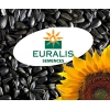 Семена подсолнечника  производителя «Евралис»