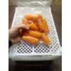 Овощи очищенные в вакуумной упаковке (картофель,  лук,  морковь,  чеснок,  свекла)