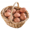 Поставляем куриные яйца от 37руб/десяток