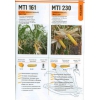 семена кукурузы различных  сортов и гибридов от молдавского производтеля